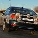 Foto 5 BMW Serie 3 2012 (F30)